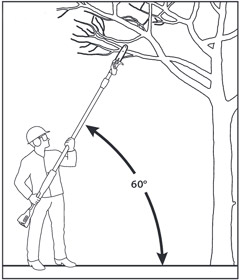 the right pruning angle