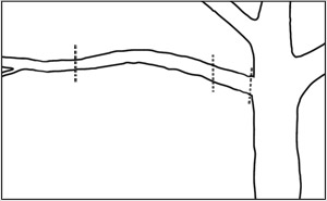 making multiple cuts on longer and heavier limbs