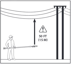 pole saw and power lines